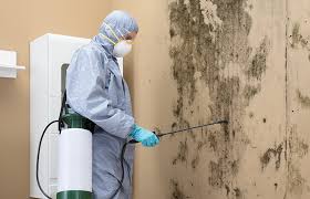 Best Commercial Mold Inspection  in USA